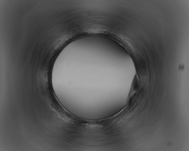 X0000089930539200707131434