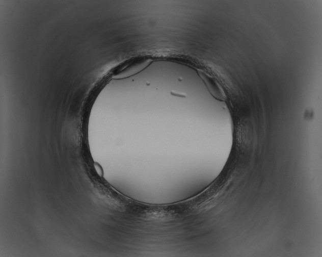 X0000089930540200707131434