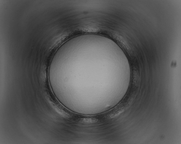 X0000089930541200707131434