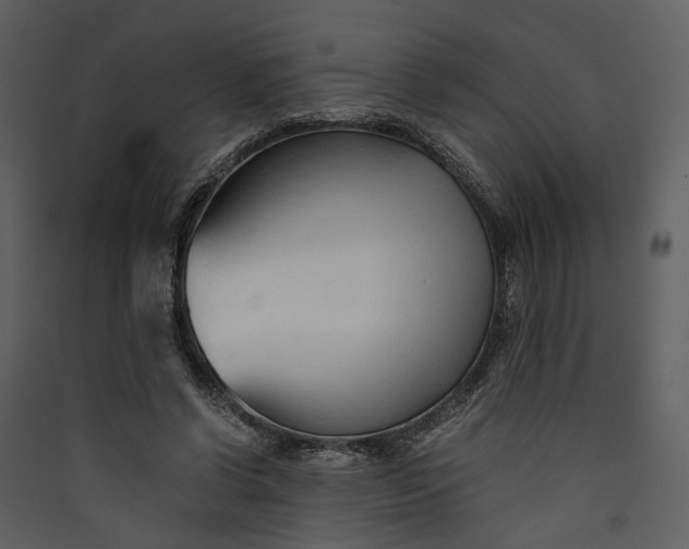 X0000089930542200707131434