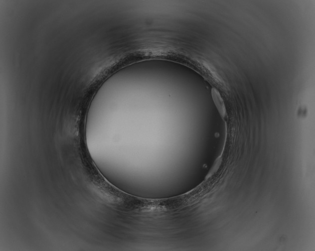 X0000089930543200707131434