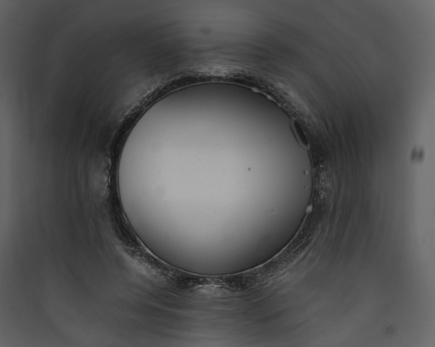 X0000089930544200707131434