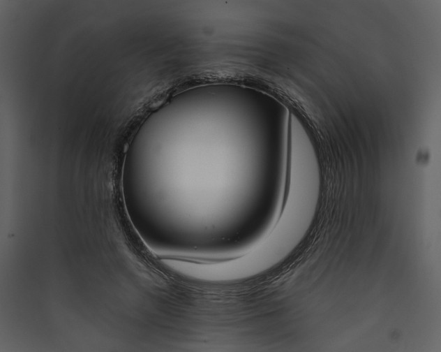 X0000089930546200707131434