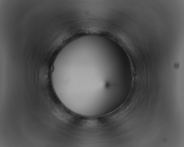 X0000089930548200707131434