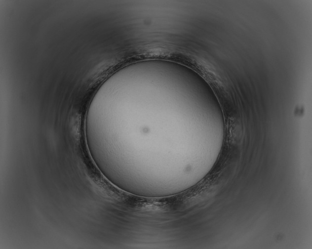 X0000089930550200707131434