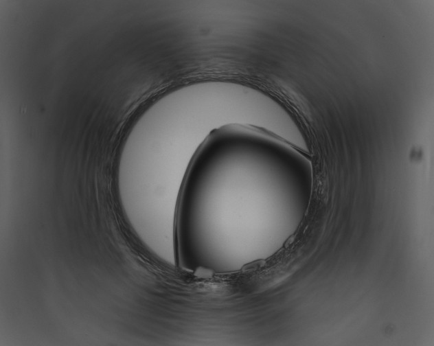 X0000089930552200707131434