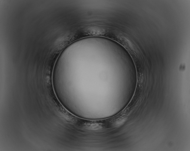 X0000089930553200707131434