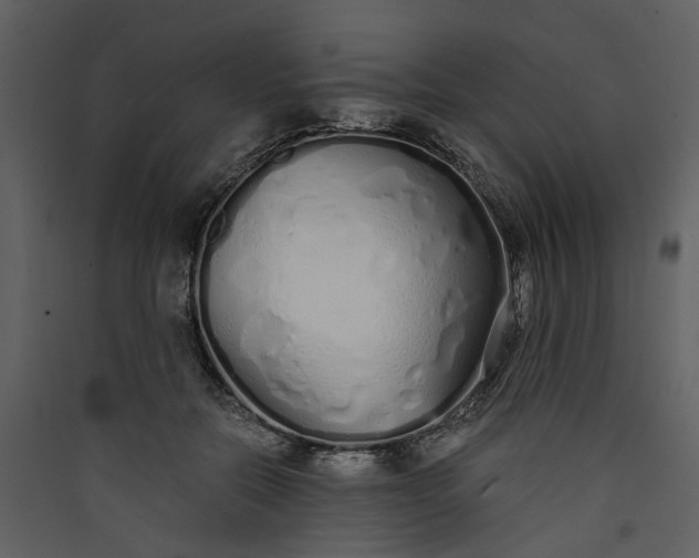 X0000089930554200707131434