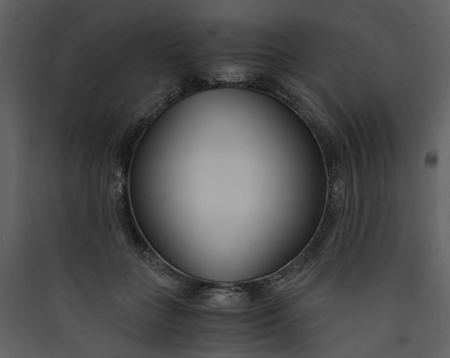 X0000089930555200707131434