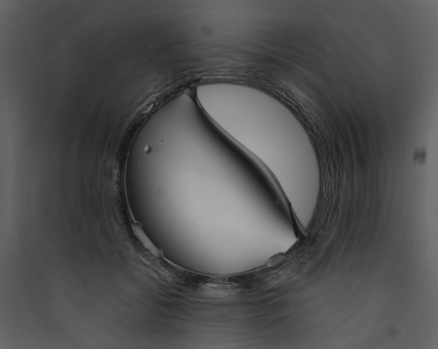 X0000089930556200707131434