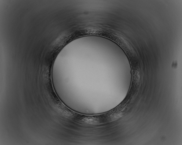 X0000089930557200707131434