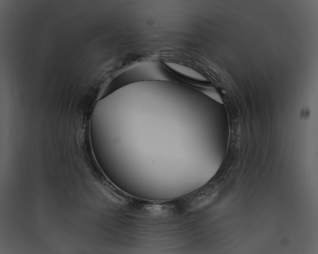 X0000089930558200707131434