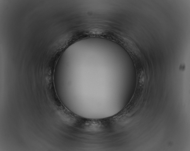 X0000089930559200707131434