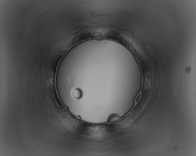 X0000089930561200707131434