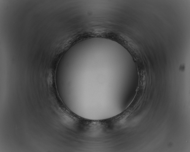 X0000089930562200707131434