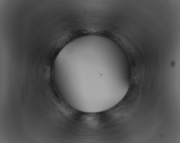 X0000089930563200707131434