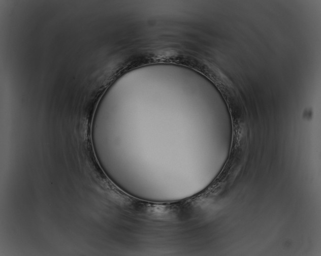 X0000089930565200707131434