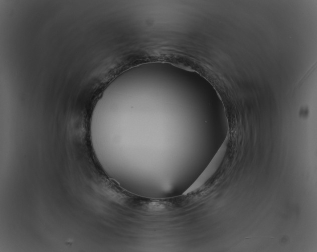 X0000089930566200707131434