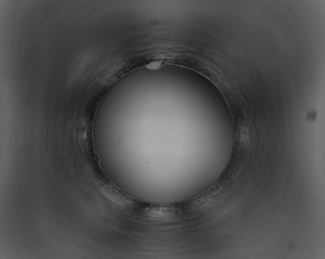 X0000089930567200707131434