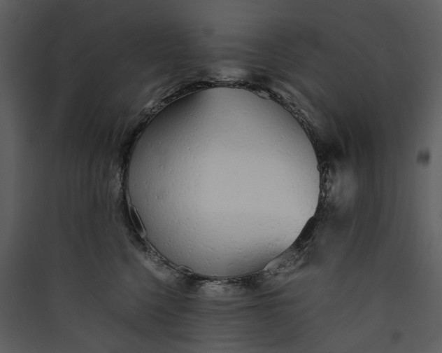 X0000089930568200707131434