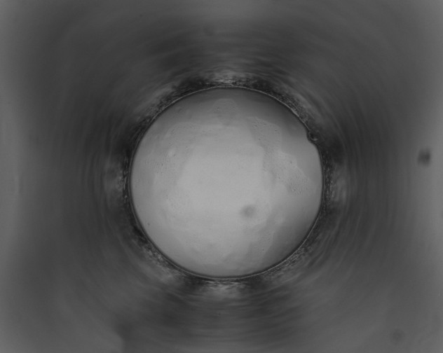 X0000089930569200707131434