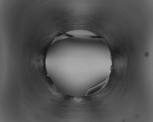 X0000089930570200707131434