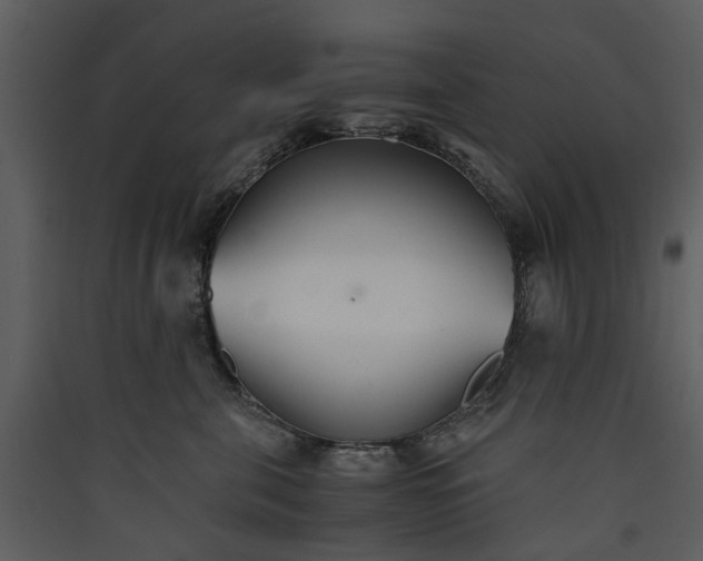 X0000089930571200707131434