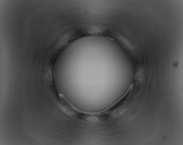 X0000089930572200707131434