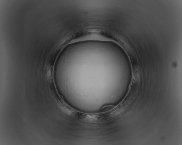 X0000089930573200707131434