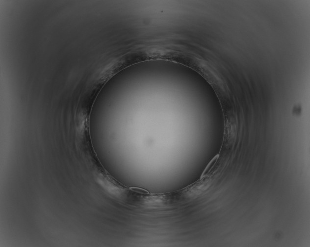 X0000089930574200707131434