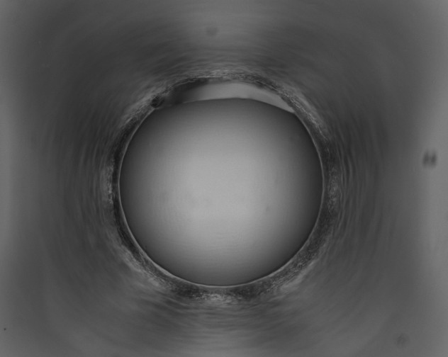 X0000089930585200707131434