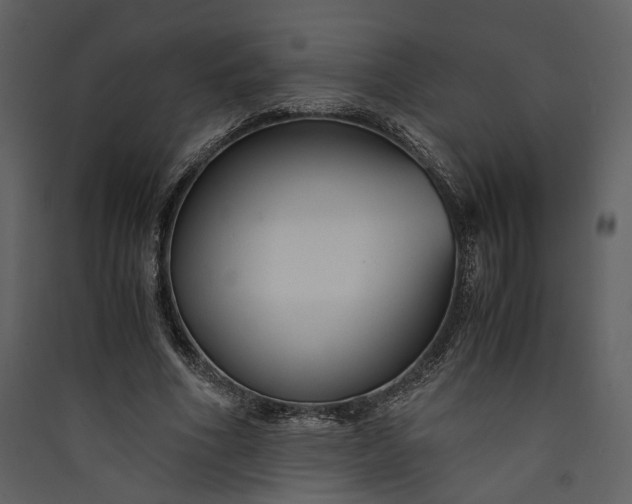 X0000089930586200707131434