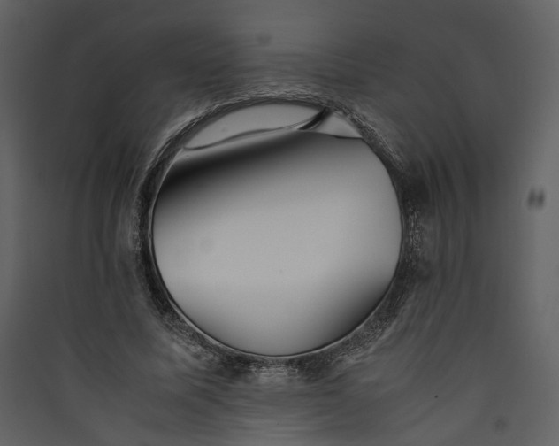 X0000089930587200707131434