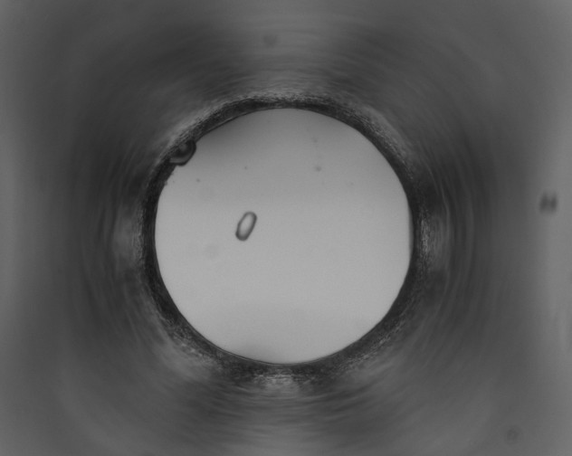 X0000089930588200707131434