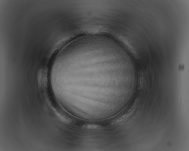 X0000089930590200707131434