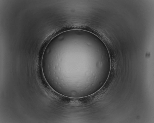 X0000089930591200707131434