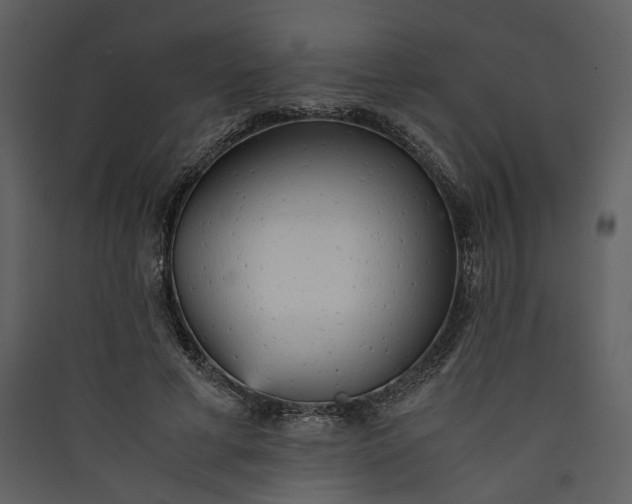 X0000089930593200707131434