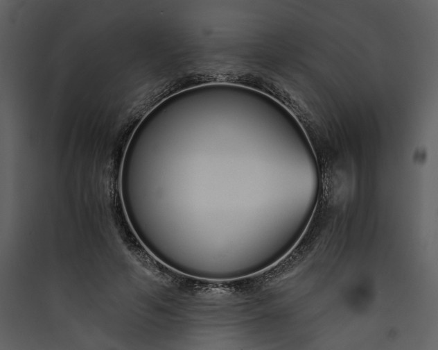 X0000089930594200707131434