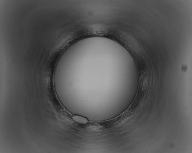 X0000089930595200707131434