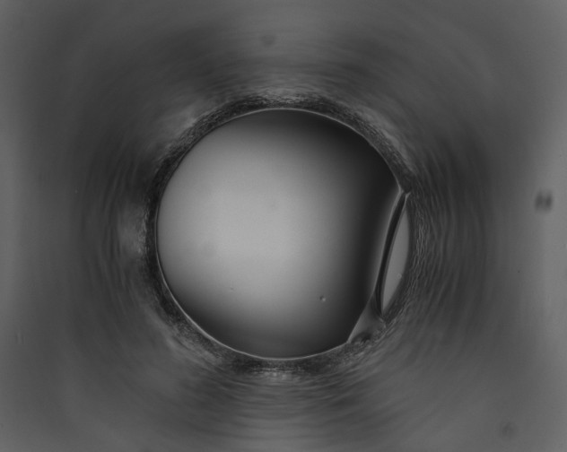 X0000089930596200707131434