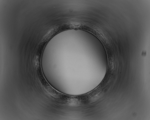 X0000089930598200707131434