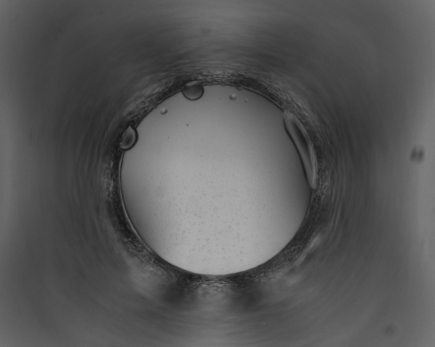 X0000089930599200707131434