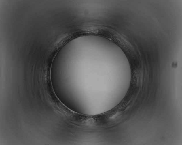 X0000089930600200707131434