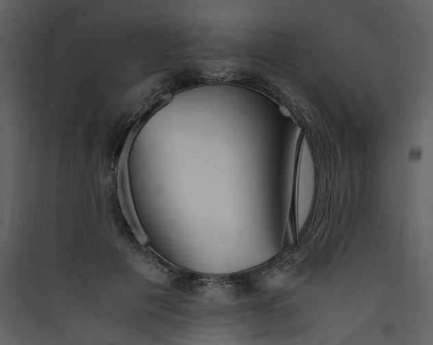 X0000089930601200707131434