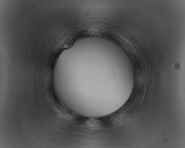 X0000089930603200707131434