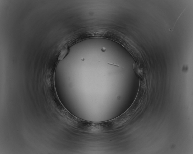 X0000089930604200707131434