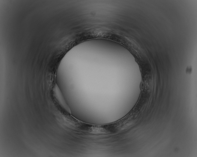 X0000089930605200707131434