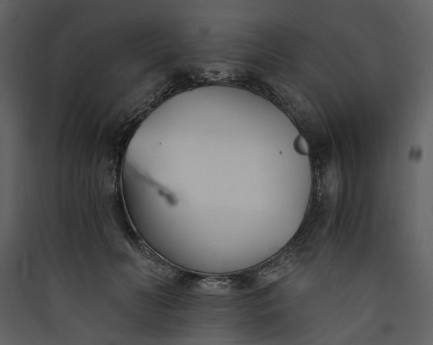 X0000089930606200707131434