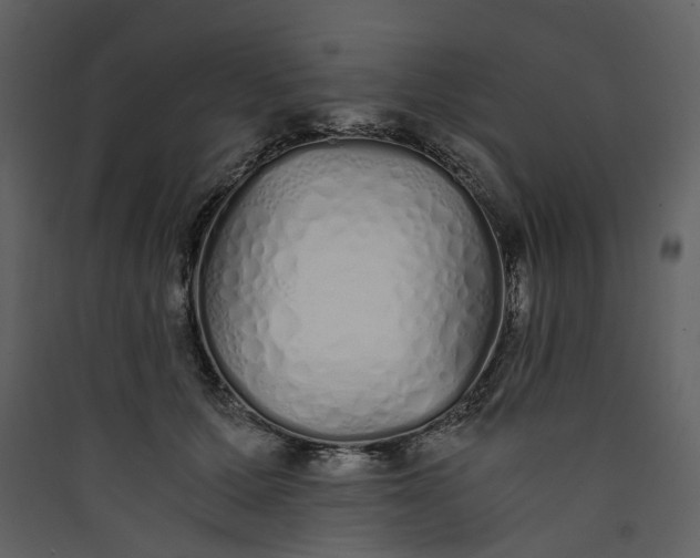 X0000089930607200707131434