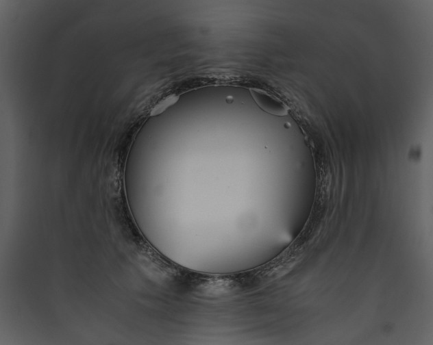 X0000089930609200707131433